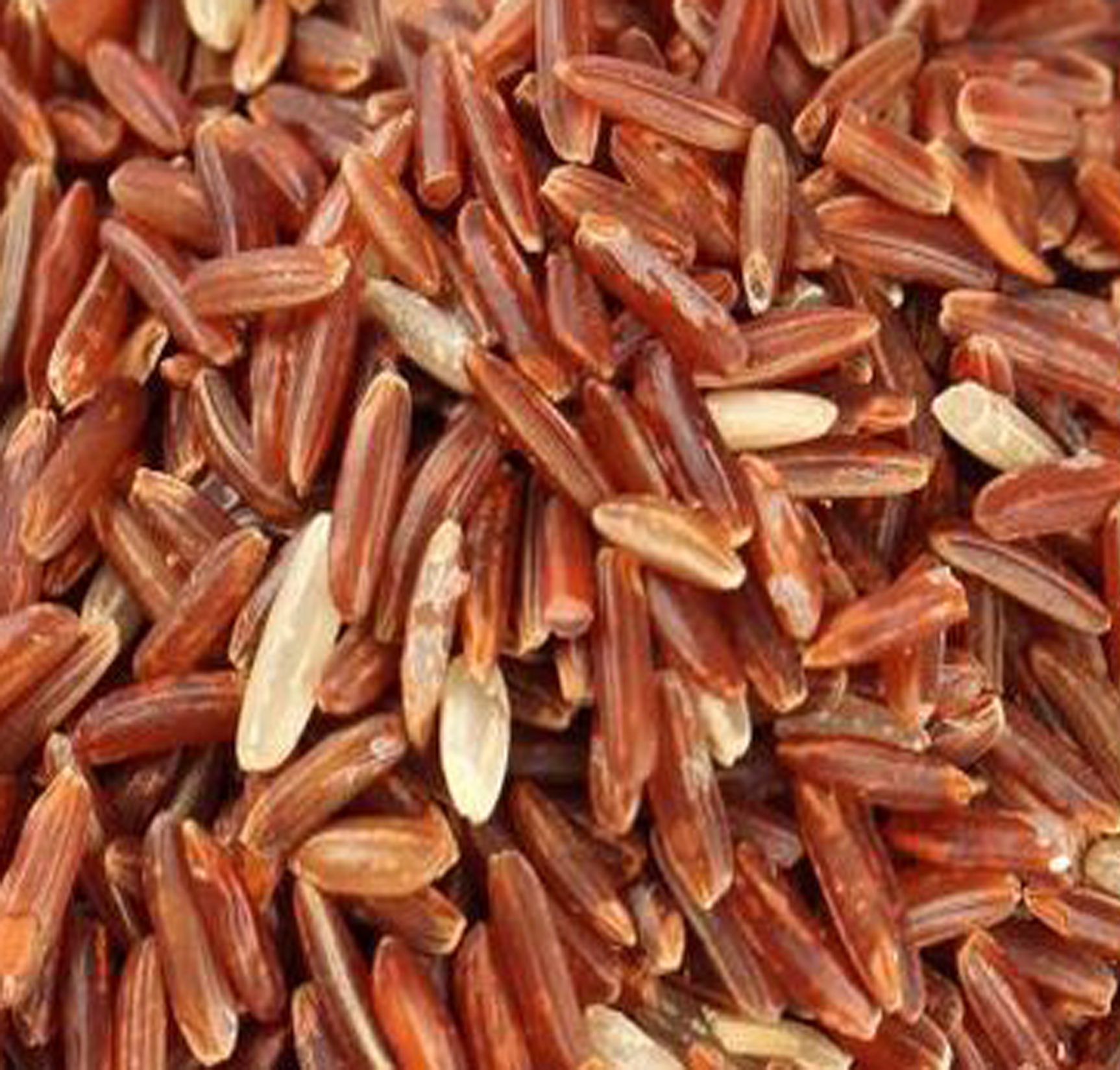 Red rice solution